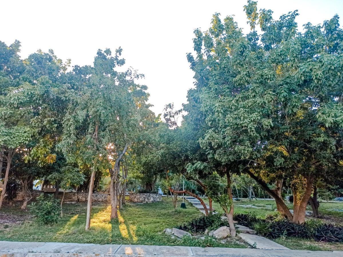 Hostal Casa Maria Κανκούν Εξωτερικό φωτογραφία